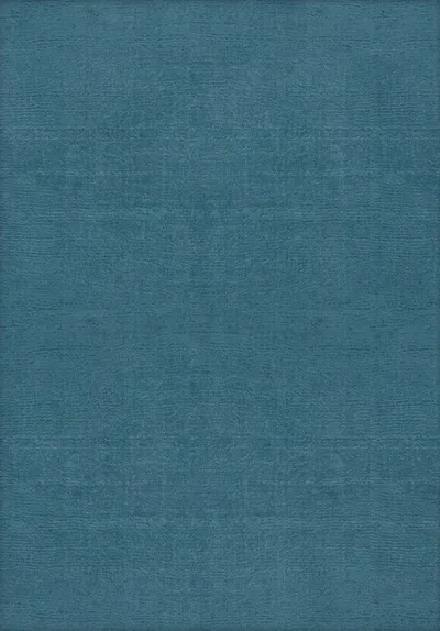 Art Silk Rug