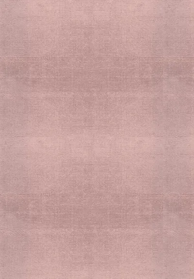 Art Silk Rug